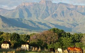 Ardmore Guest Farm